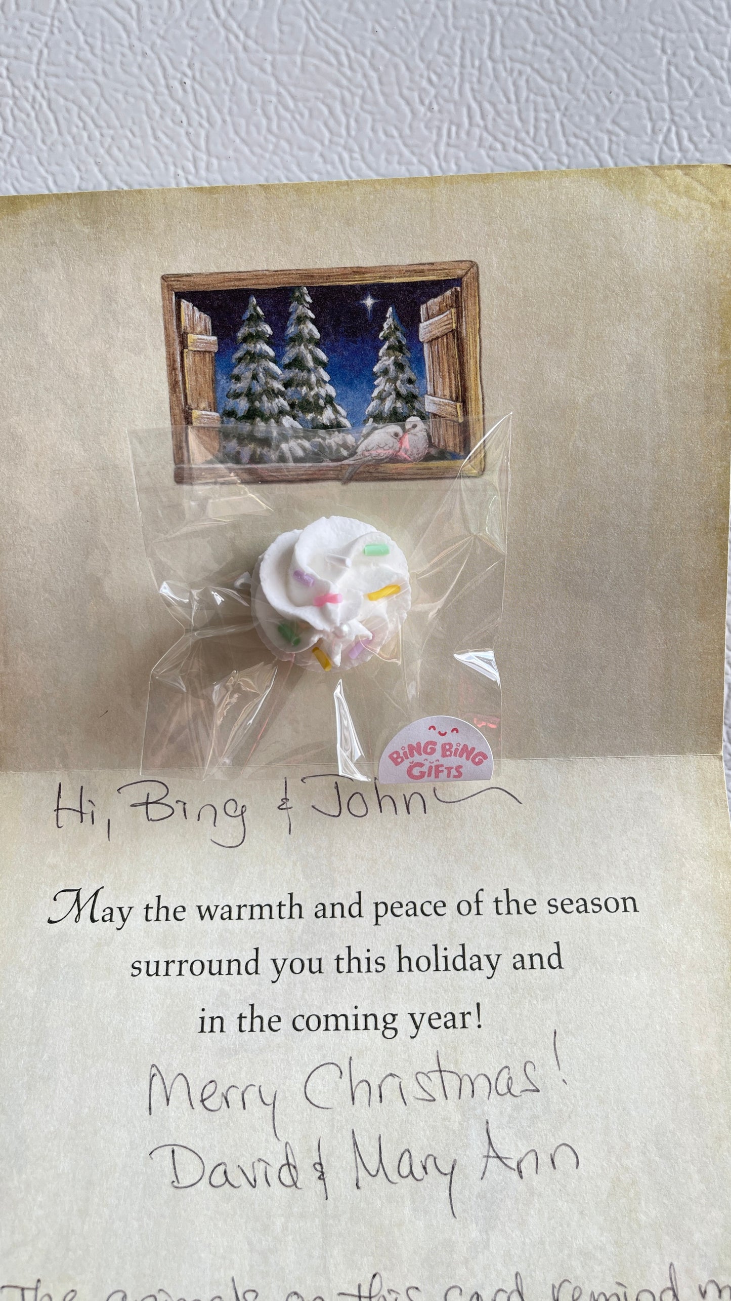 3pcs Fake Frosting Magnet π§ Large